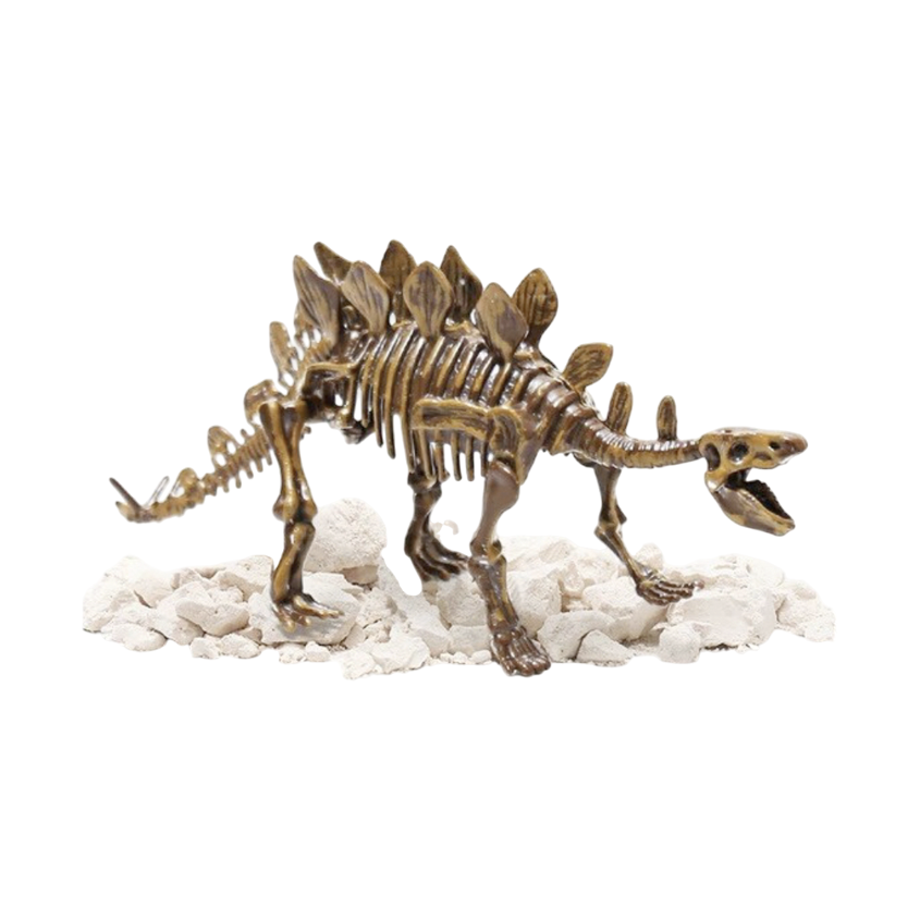 Dino Excavación_thumbnail_17