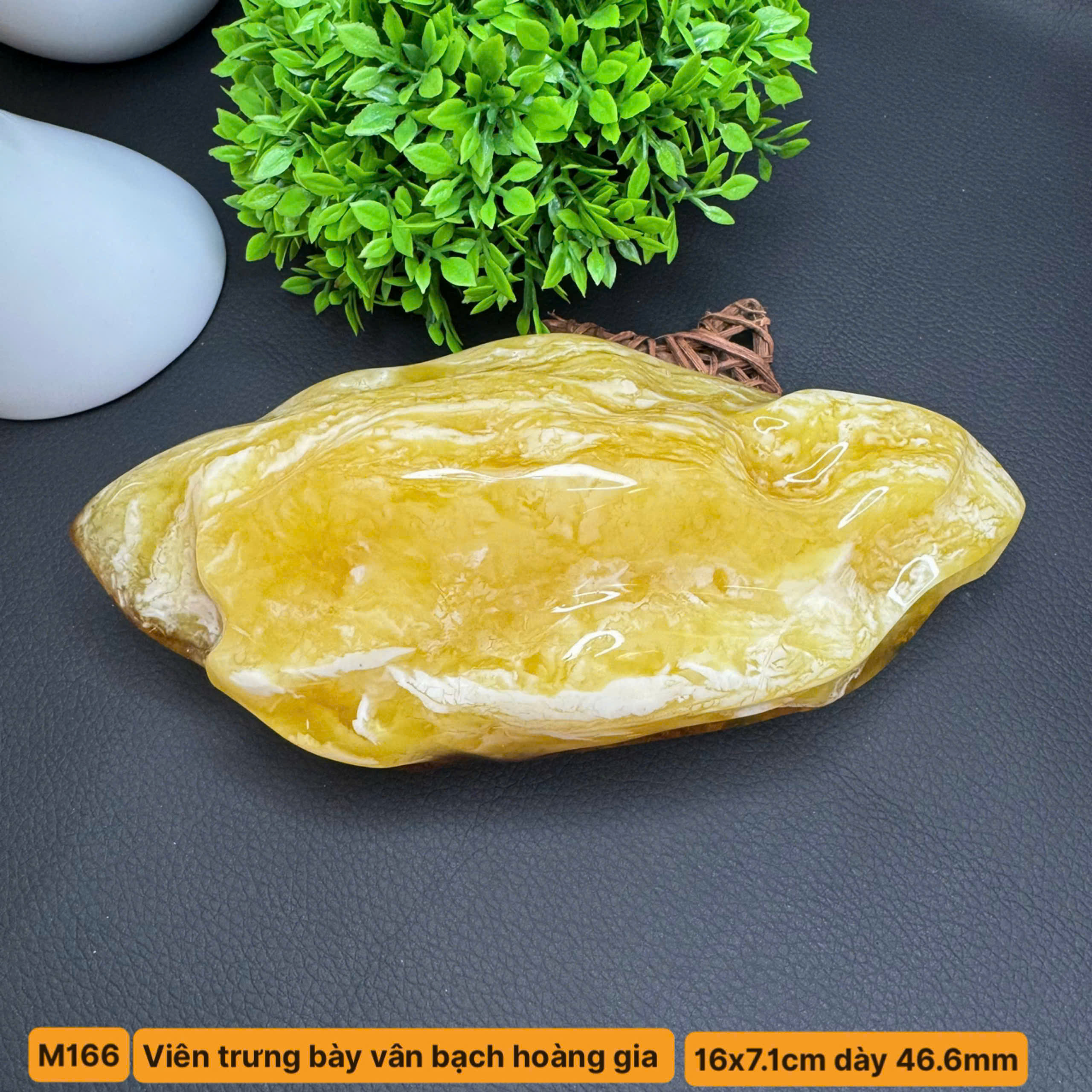 Viên Trưng Bày Bạch Hoàng Gia VIP - M166