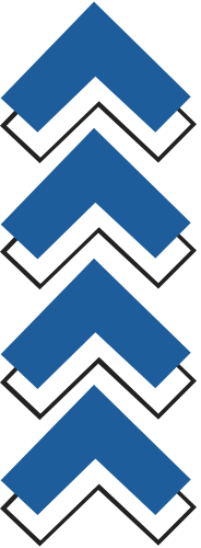 Borcelle-e1745209622597