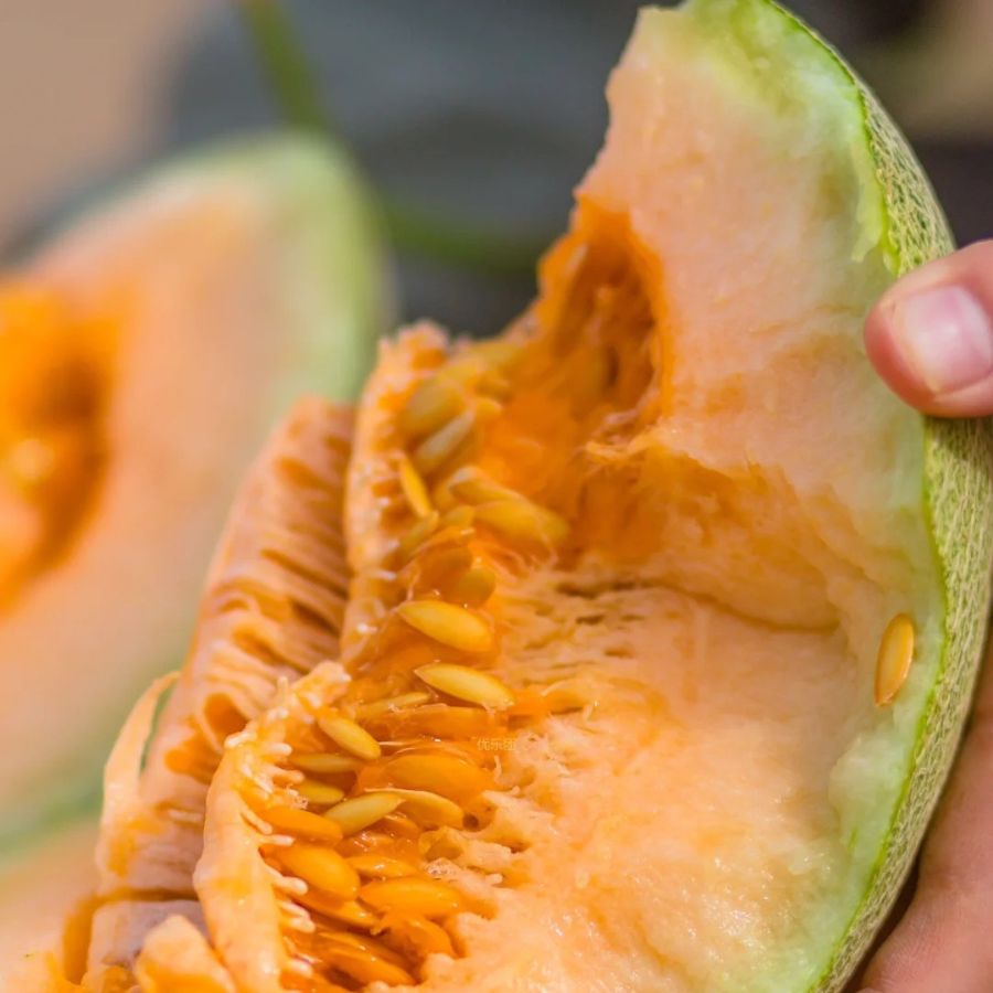 Dưa lưới Đài Loan_thumbnail_4