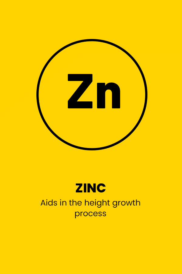 ZINC ICON(2)