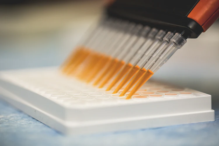 multi-channel-pipette-and-assay-plate