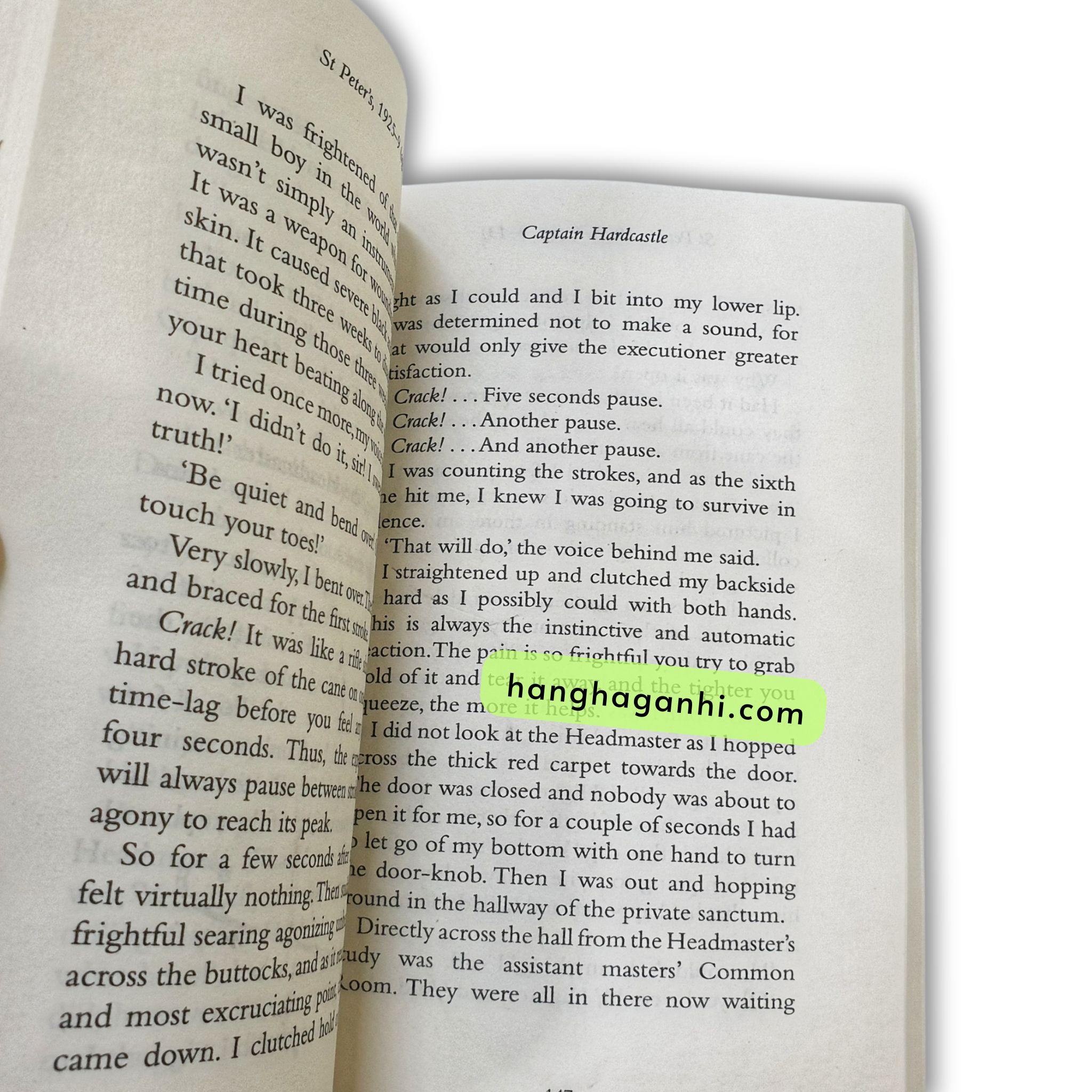 [Sách Nhập Khẩu] Bộ Sách Của Roald Dahl – 23 cuốn Bản mới nhất_thumbnail_10