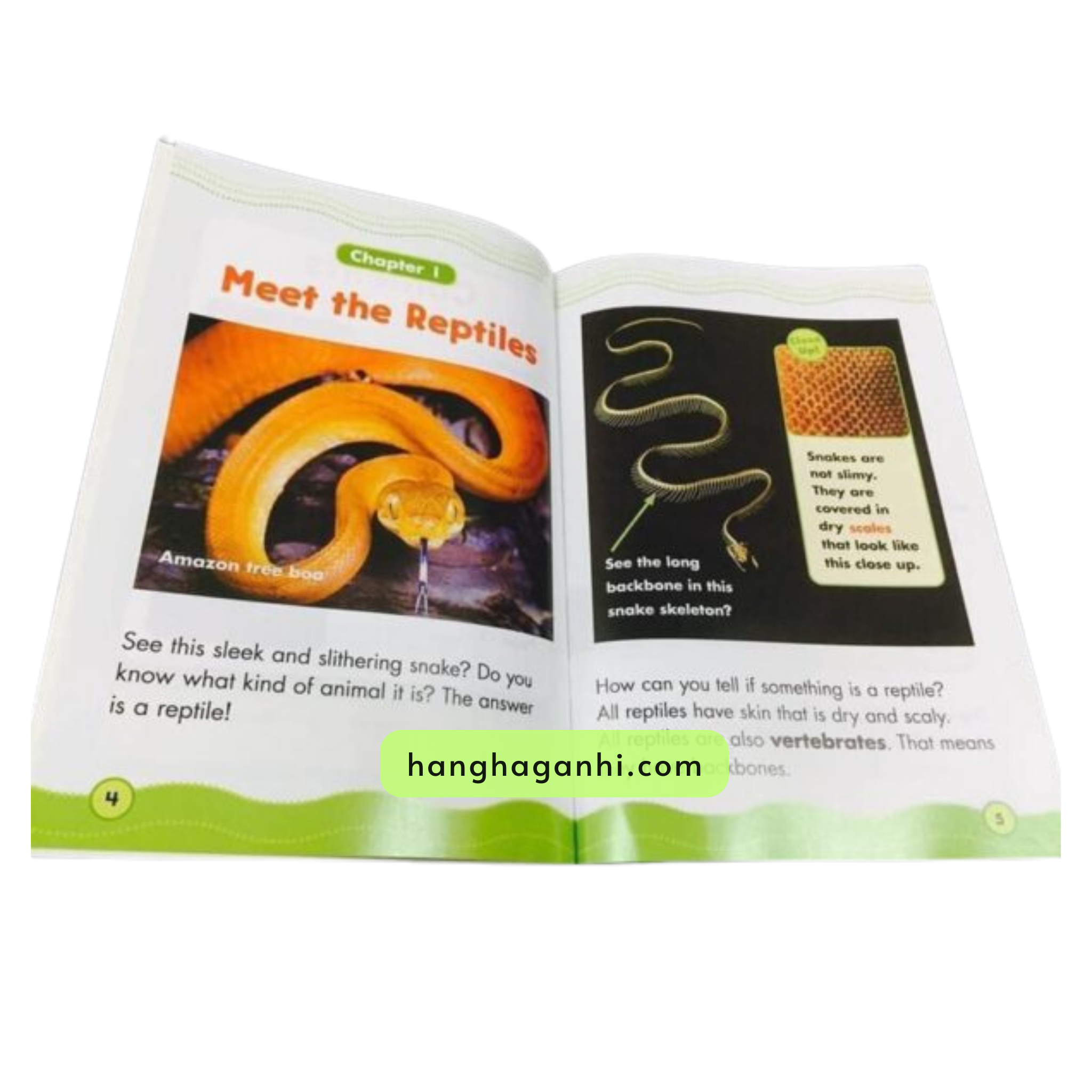 Science Vocabulary Readers - Bộ 34 cuốn sách Khoa học Tiếng Anh cho bé, nhập khẩu nguyên seal, có file nghe_thumbnail_5