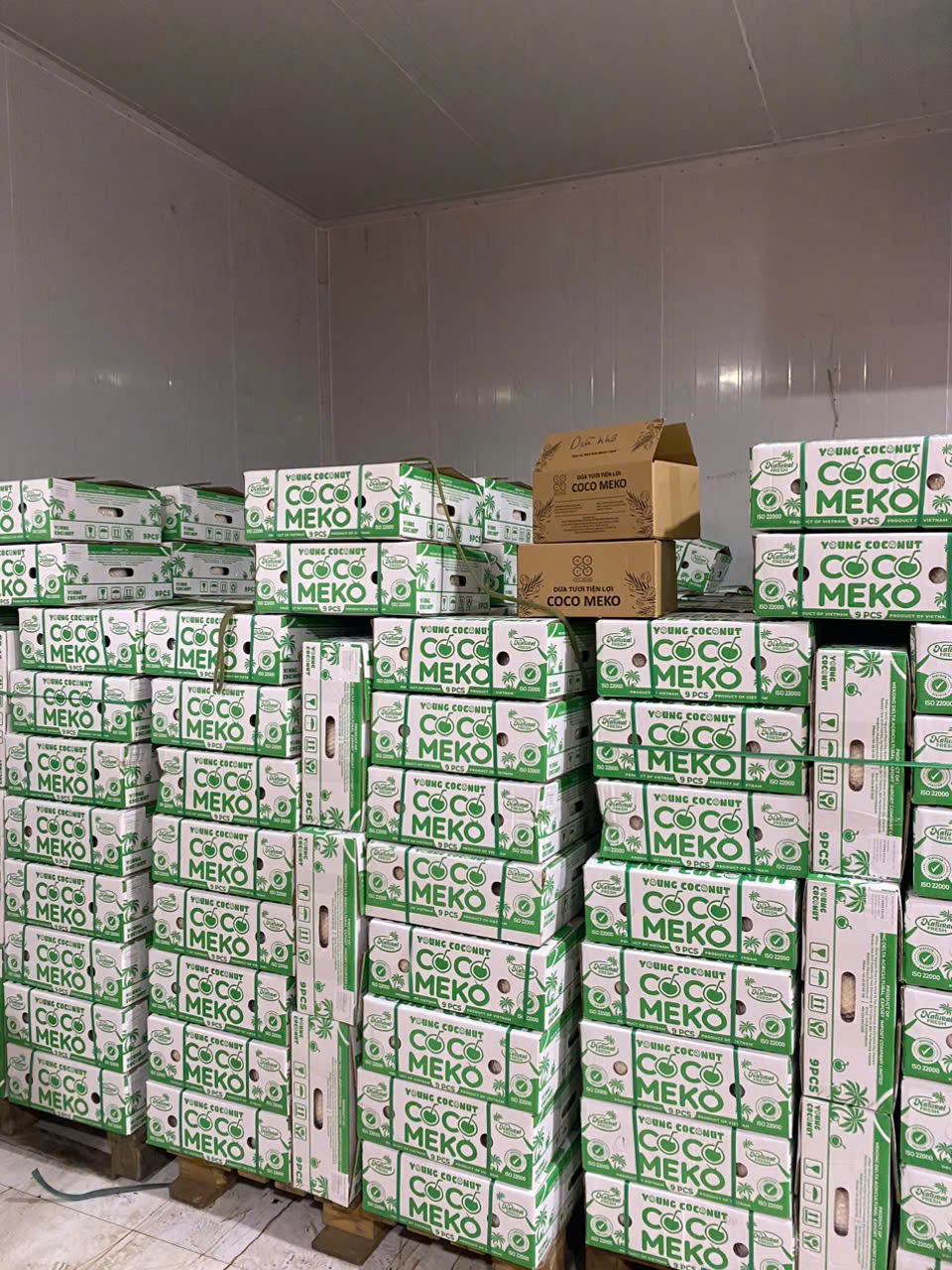 DIAMOND CUT YOUNG EYELET CAP COCONUT_thumbnail_3