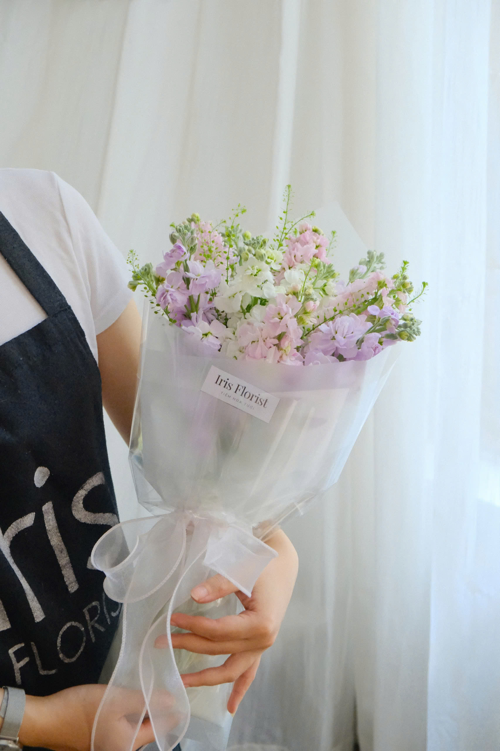 Bó phi yến mix màu - size S