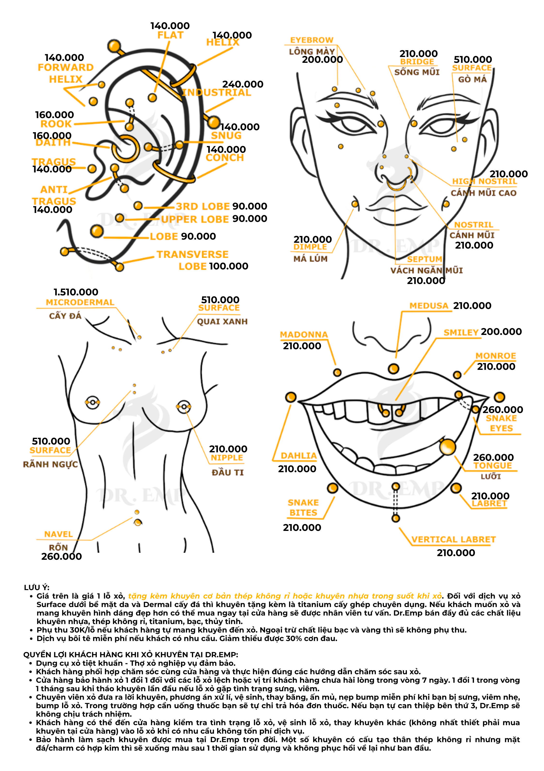 bảng giá web 172025