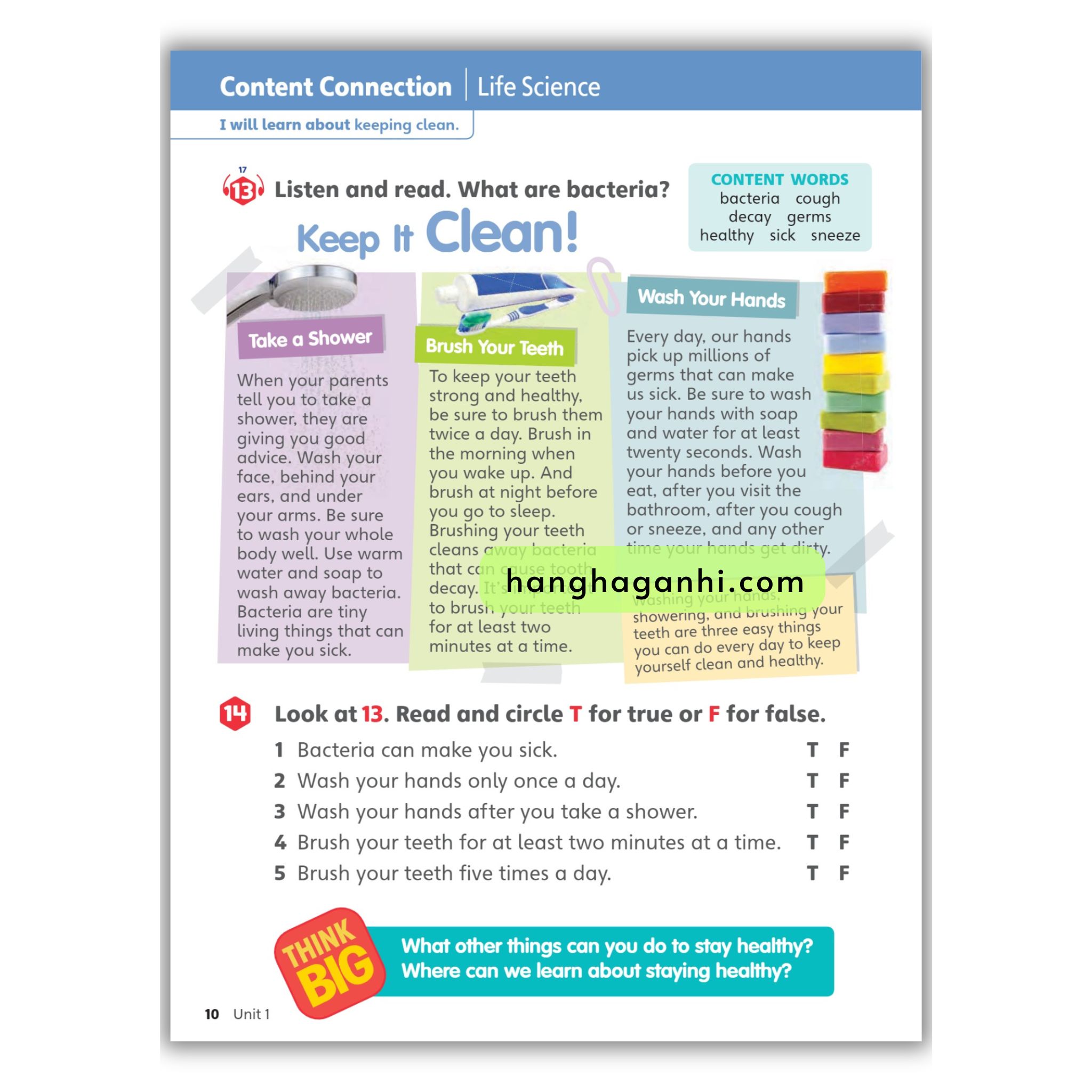 Big English 3 Student’s Book 2nd Edition American English_thumbnail_14