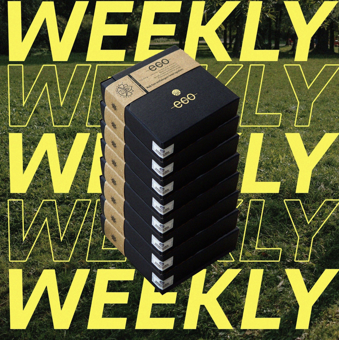 Thanh thảo mộc Eco Herb - Original - PrimePack | Natural's Heal_thumbnail_17