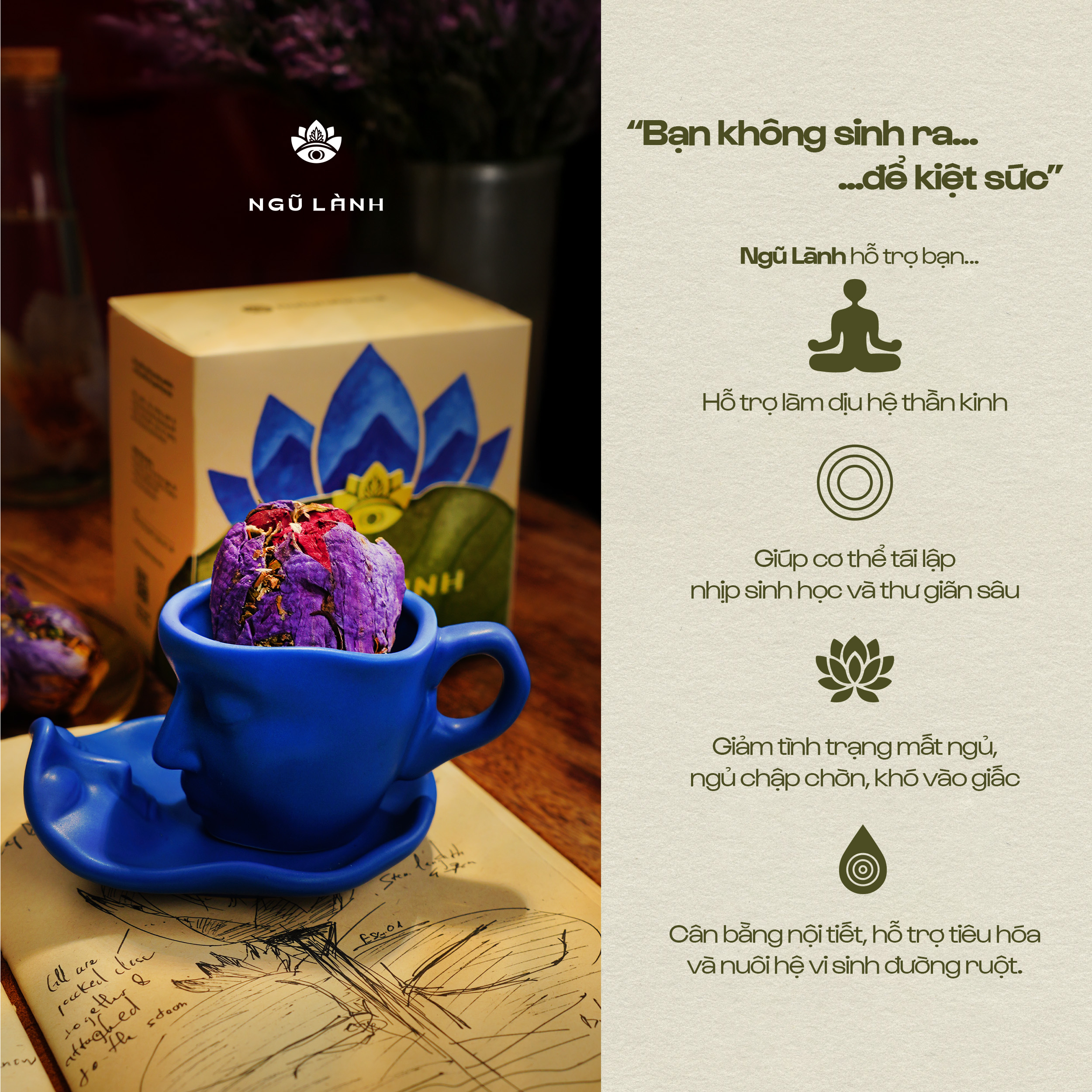 Trà Ngũ Lành - Giảm Căng Thẳng & Điều Hòa Thần Kinh & Ngủ Sâu Tự Nhiên | Natural’s Heal_thumbnail_3