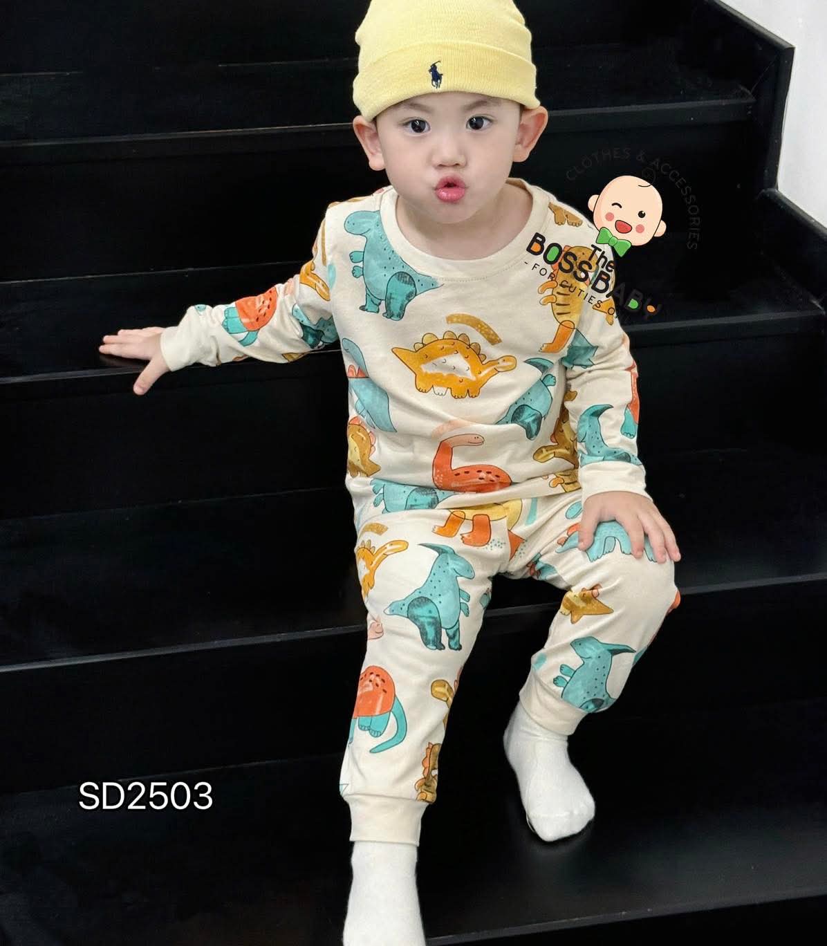 Set 2 bộ cotton phối màu khủng long_thumbnail_2