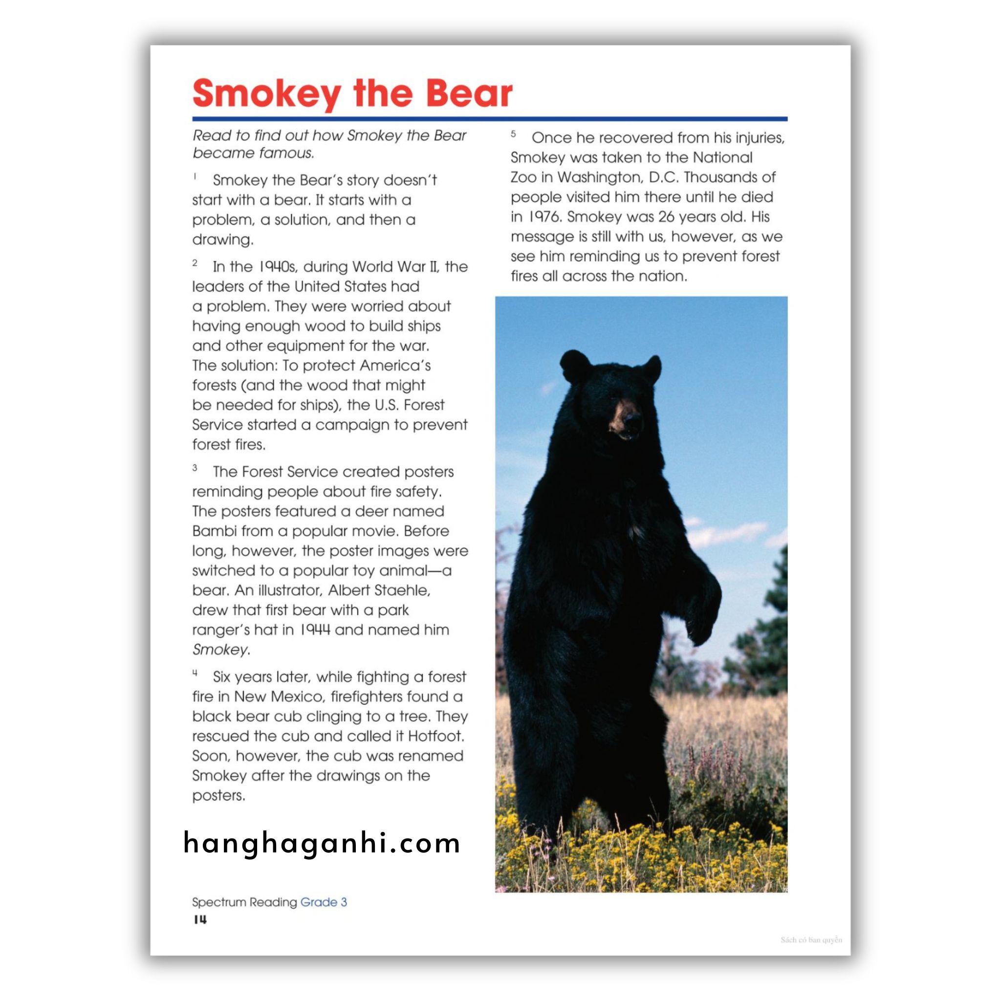 Sách Spectrum Reading Workbook Grade 3_thumbnail_5