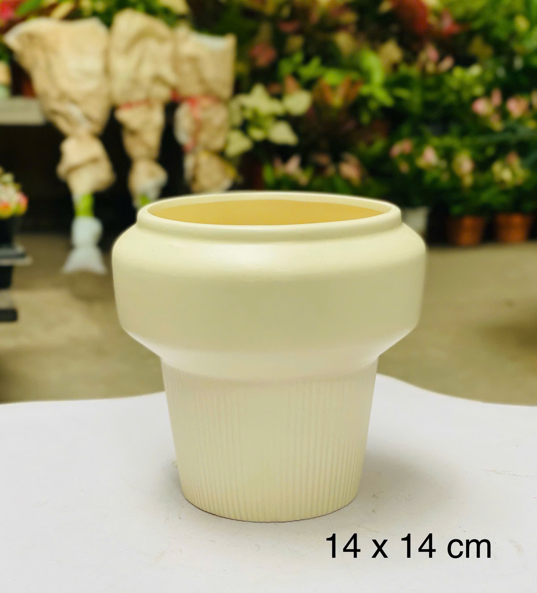 CHẬU CAO CẤP 2_thumbnail_1
