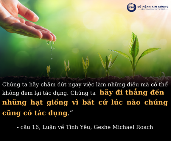 Hãy dừng lại những việc không hiệu quả! – Thông điệp từ sách Luận về Tình Yêu, Geshe Michael Roach
