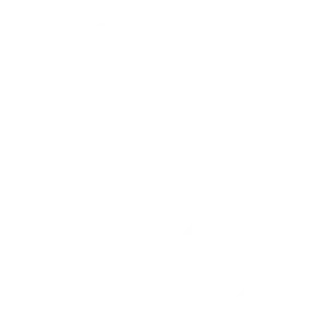 policy4-300x300