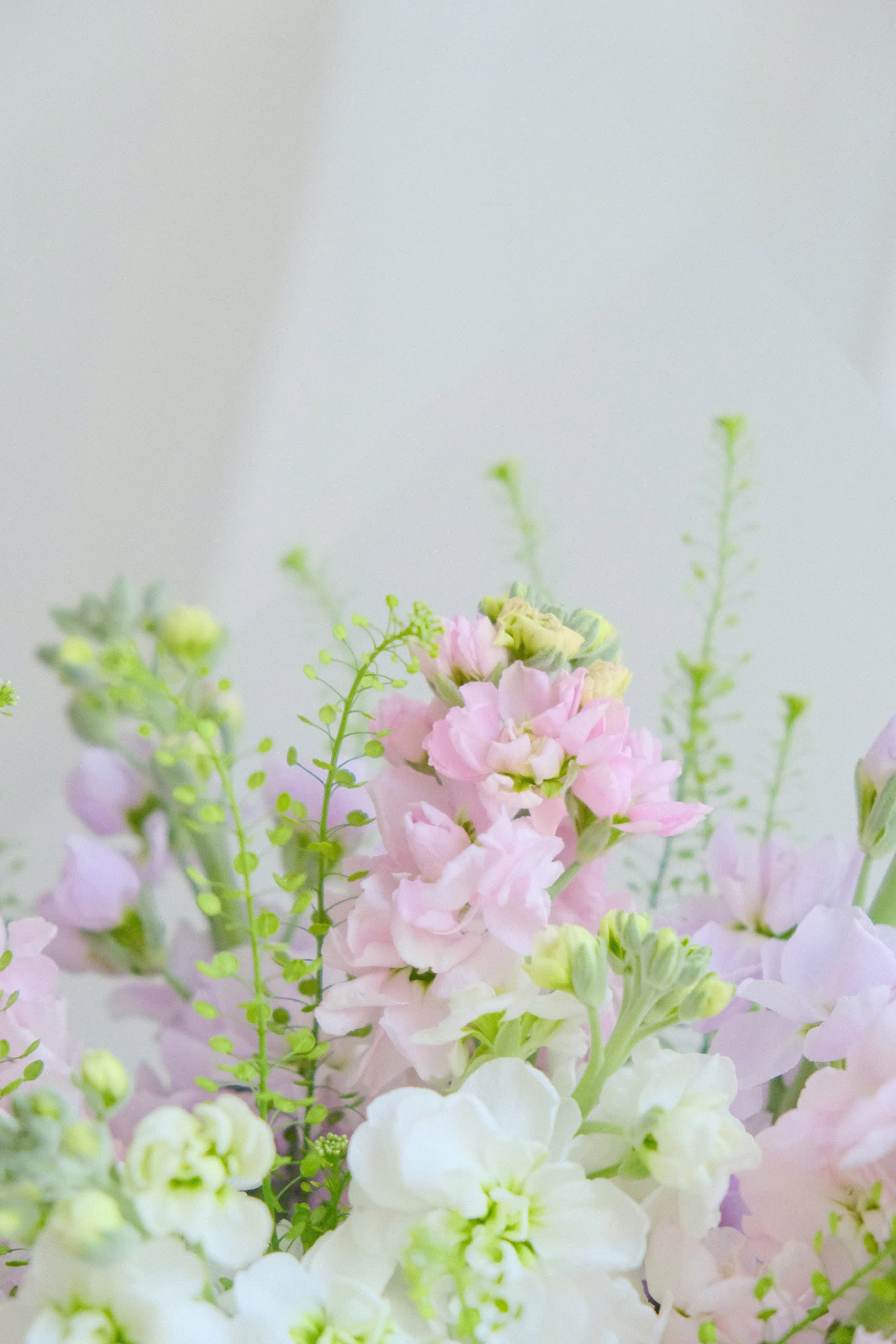 Bó phi yến mix màu - size S_thumbnail_2