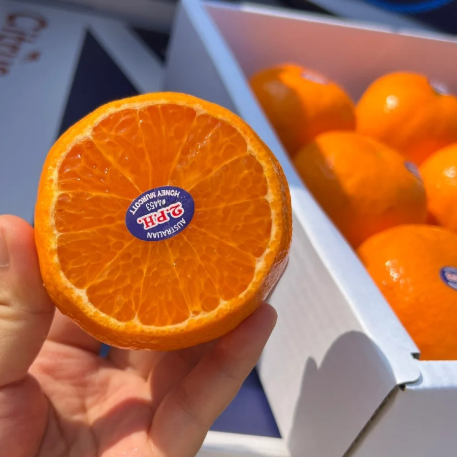 Quýt Úc Vàng_thumbnail_6