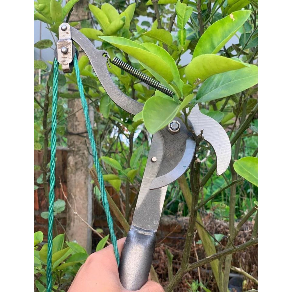 Đầu Kéo Cắt Cành Cây Trên Cao, Tỉa Cây Cảnh, Hái Hoa Quả