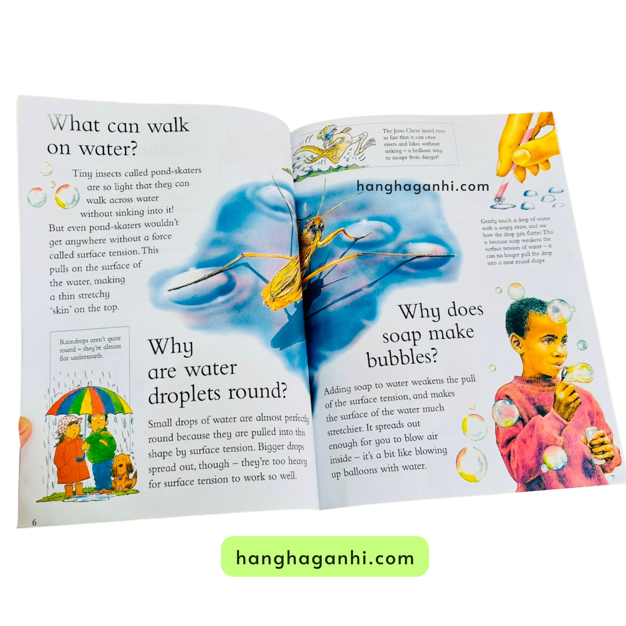 I wonder why, Bộ 24 cuốn Sách Khoa học cho bé nhập khẩu nguyên seal kèm file nghe giọng bản ngữ_thumbnail_18