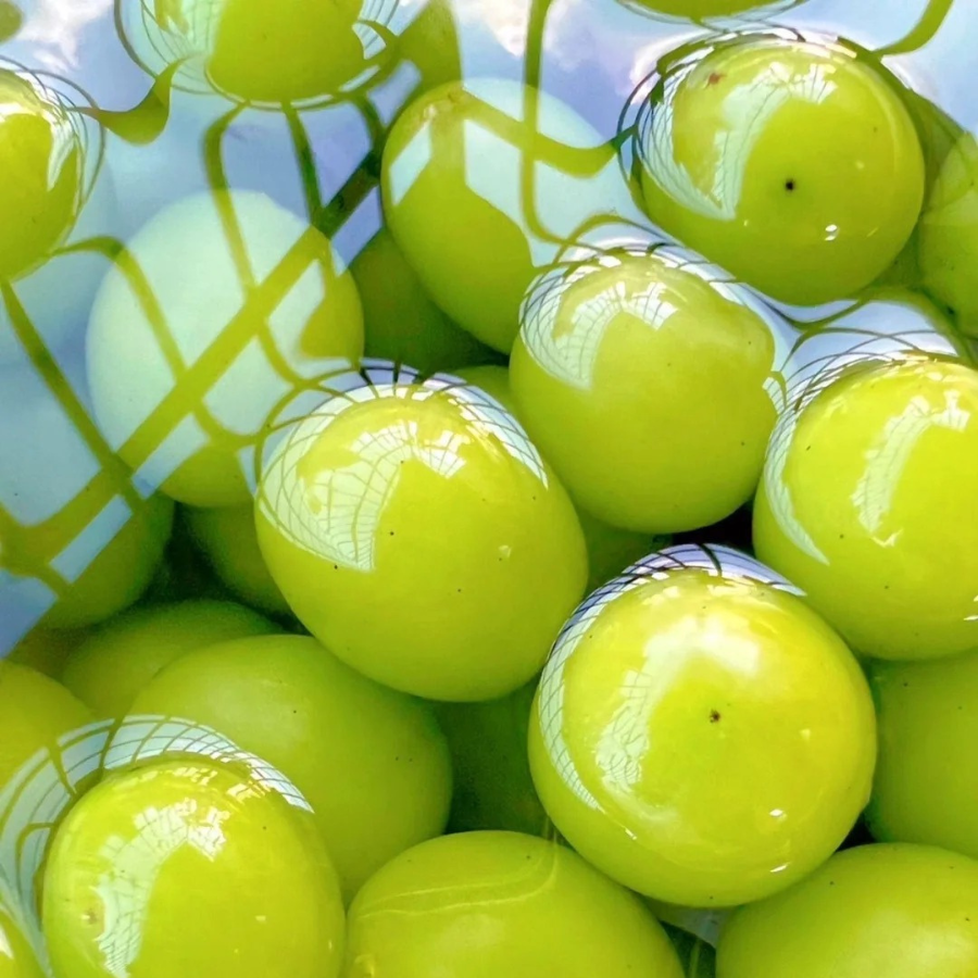 Nho Sữa - Đài Loan_thumbnail_6