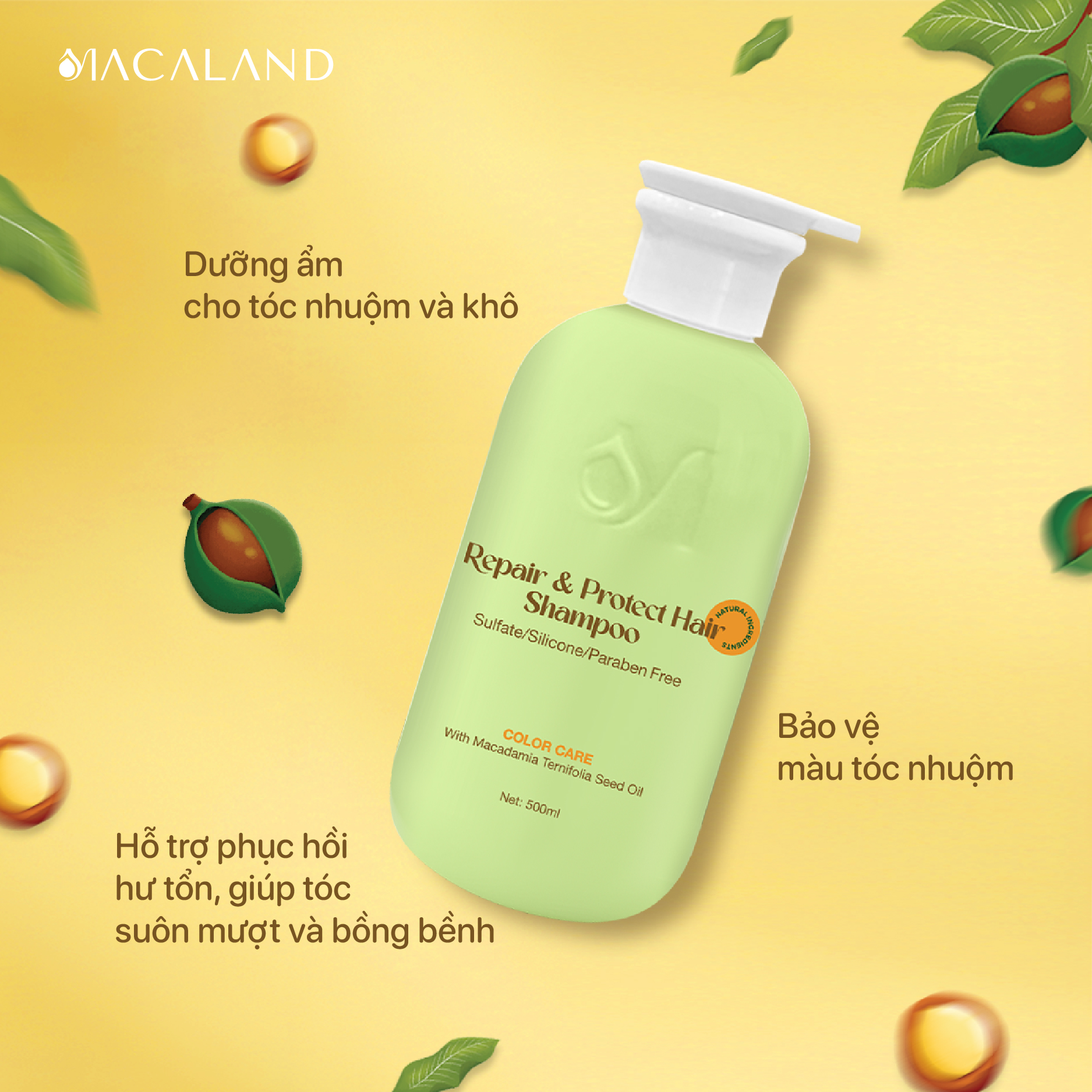 Dầu gội Dưỡng Tóc Mắc Ca MACALAND 500ml dưỡng tóc chắc khỏe, phục hồi hư tổn_thumbnail_4