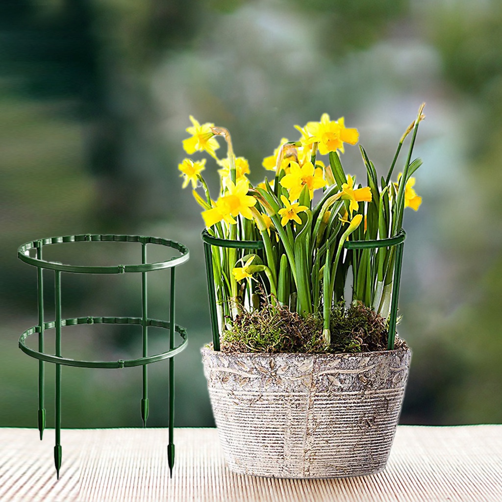 Khung Đỡ Bảo Vệ Cây_thumbnail_6