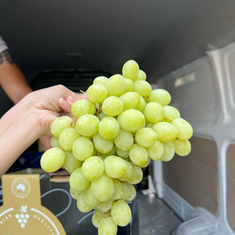 Nho Xanh Úc (RJN)_thumbnail_1