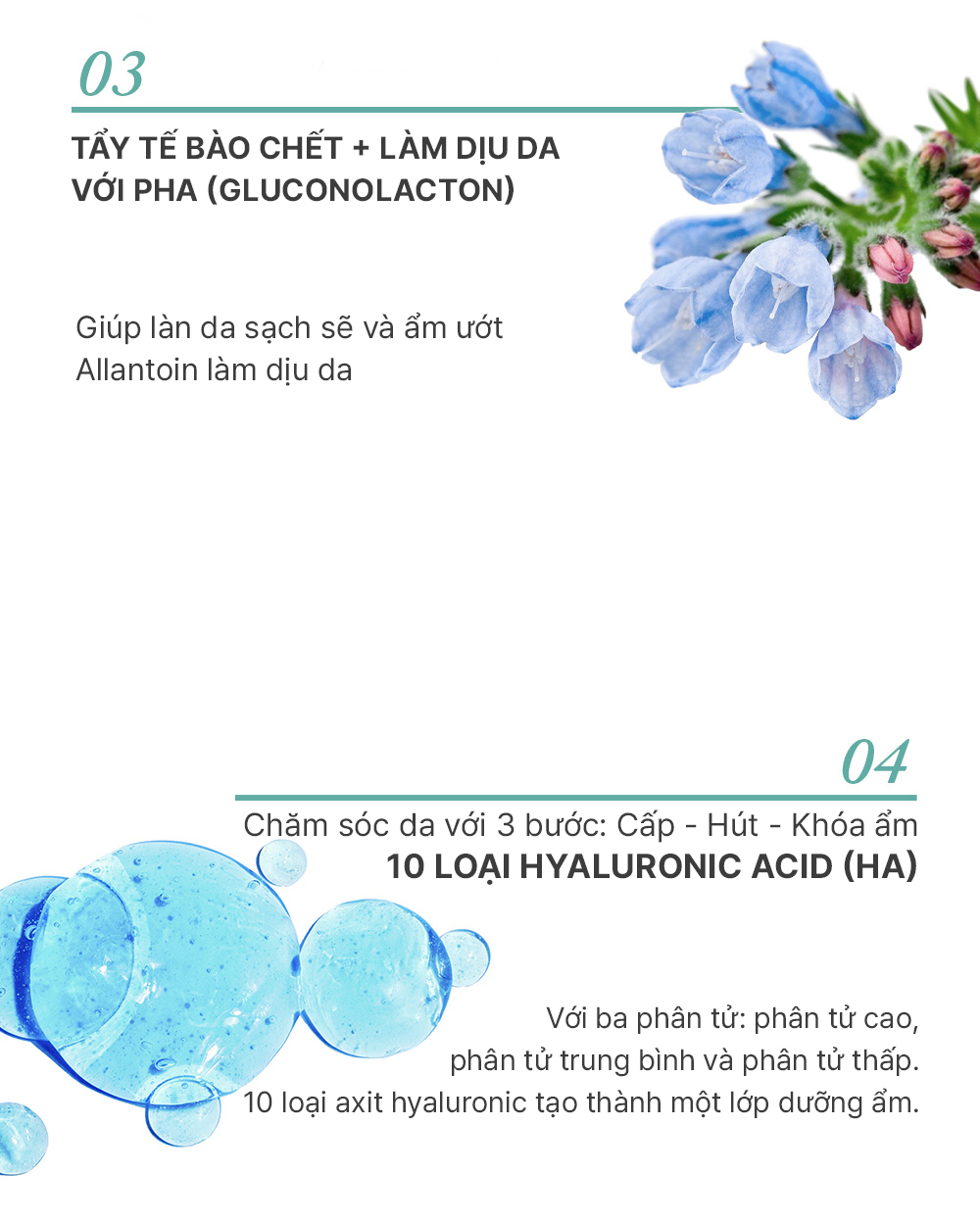 Tinh chất dưỡng ẩm, làm dịu da Elravie Pro Relaxing 50ml_thumbnail_6