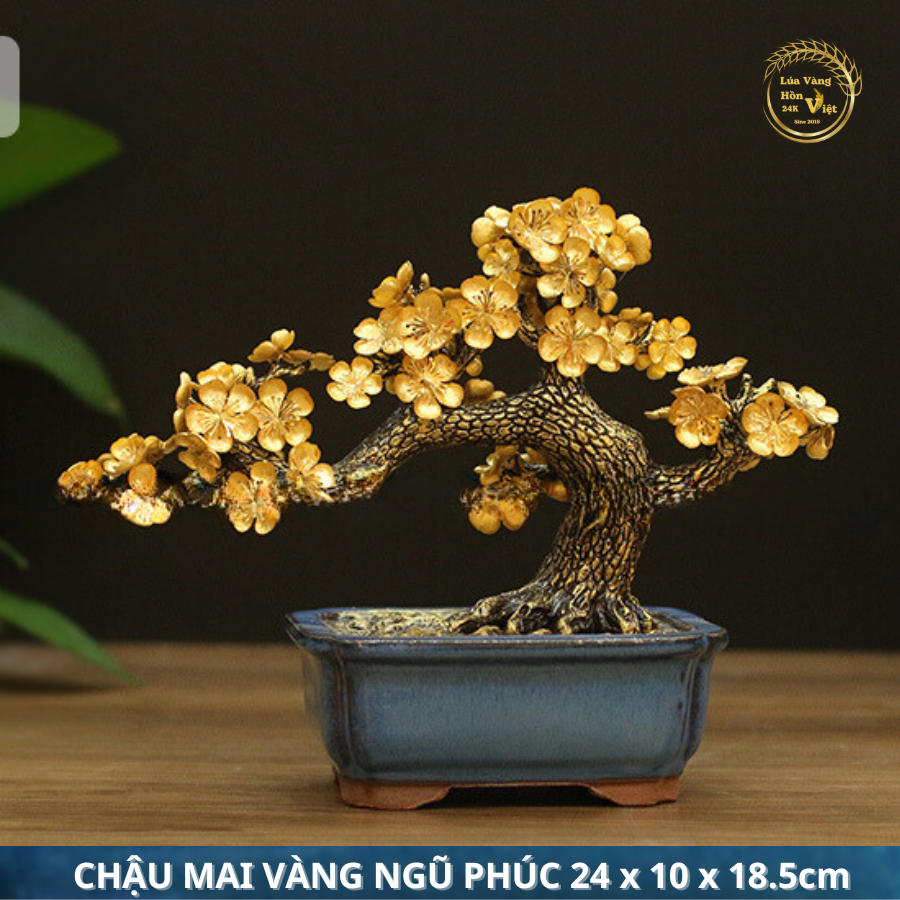 CHẬU MAI VÀNG NGŨ PHÚC 24x10x18.5cm_thumbnail_1