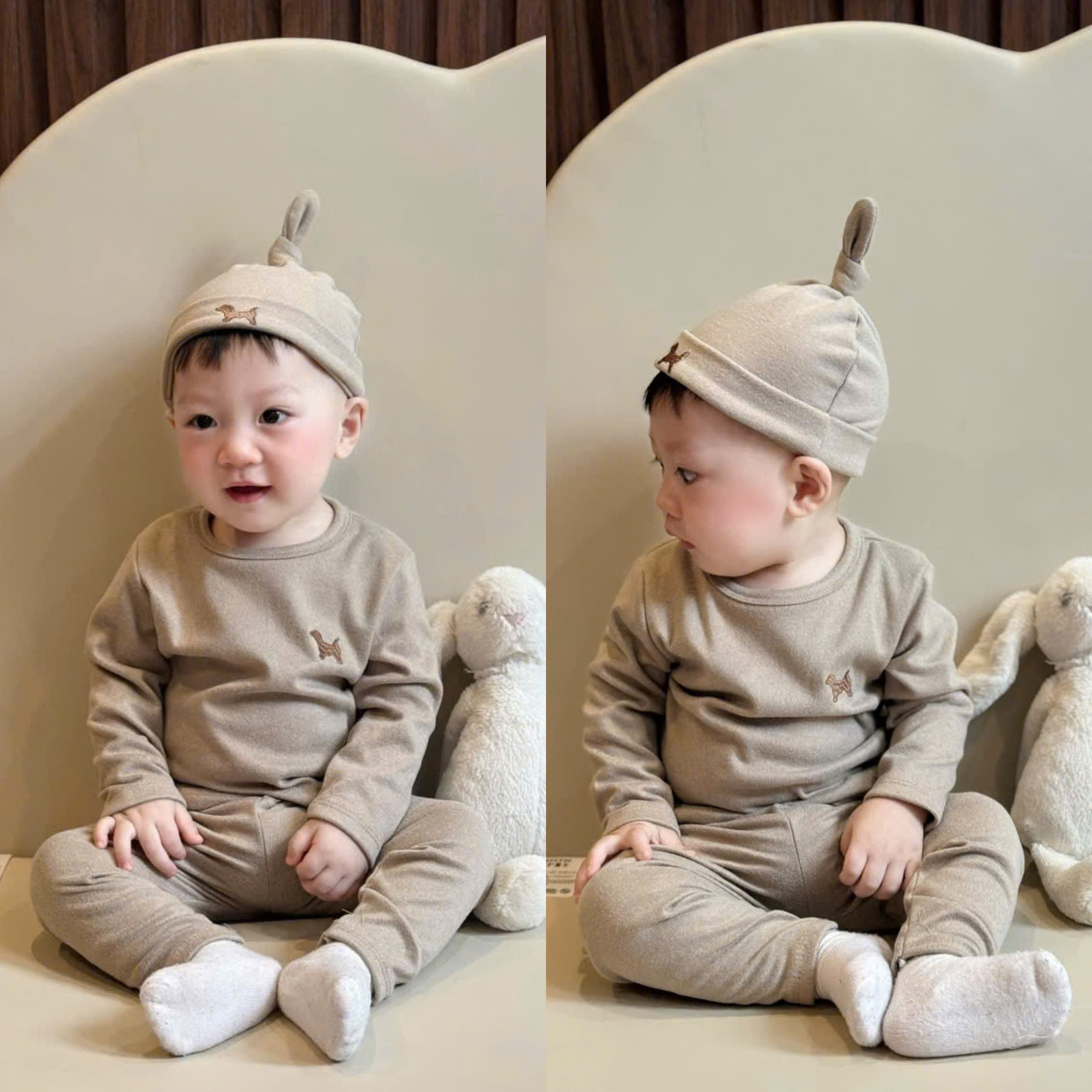 Q46 BỘ DÀI TAY CHÓ NÂU 1 MÀU- A210.376