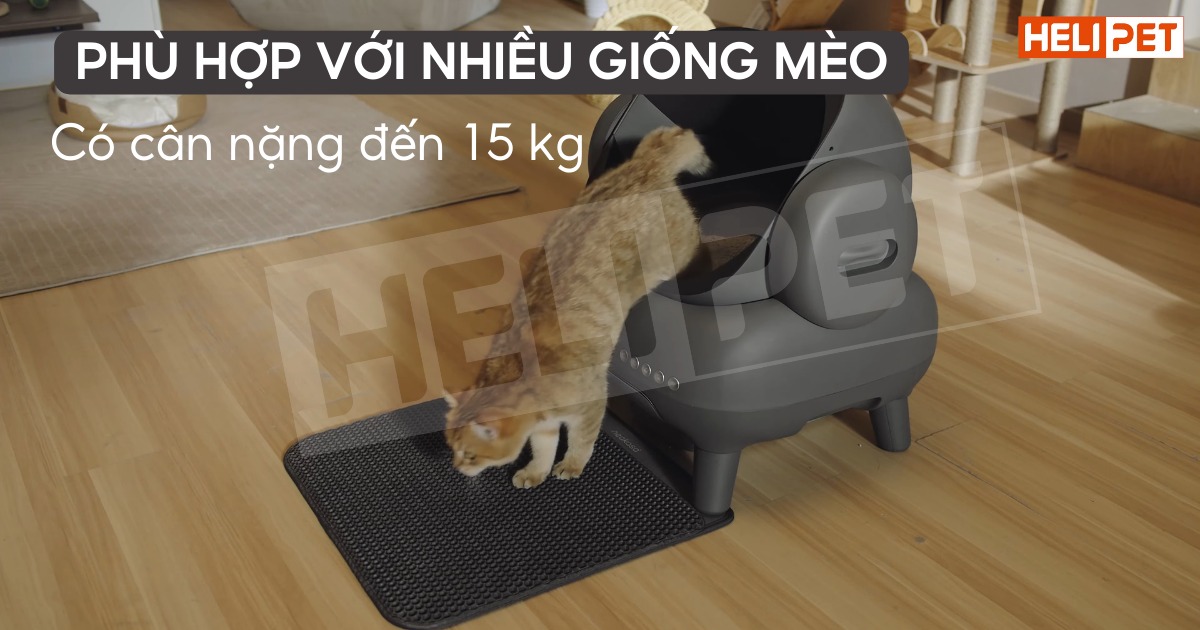 Neakasa M1 Cat Litter Cleaner