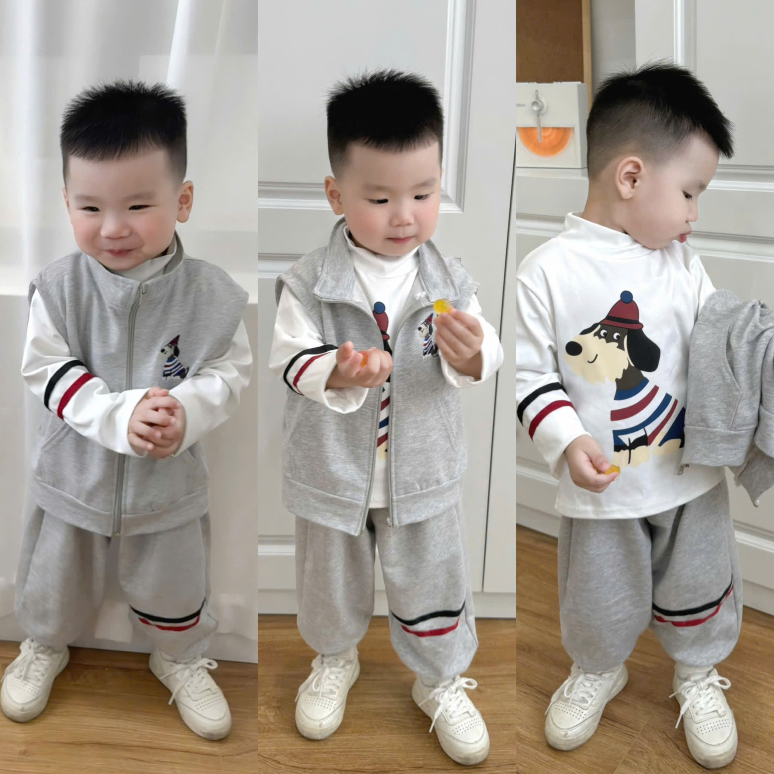 Q95 SET 3CT CHÓ ĐỘI MŨ- A112.07