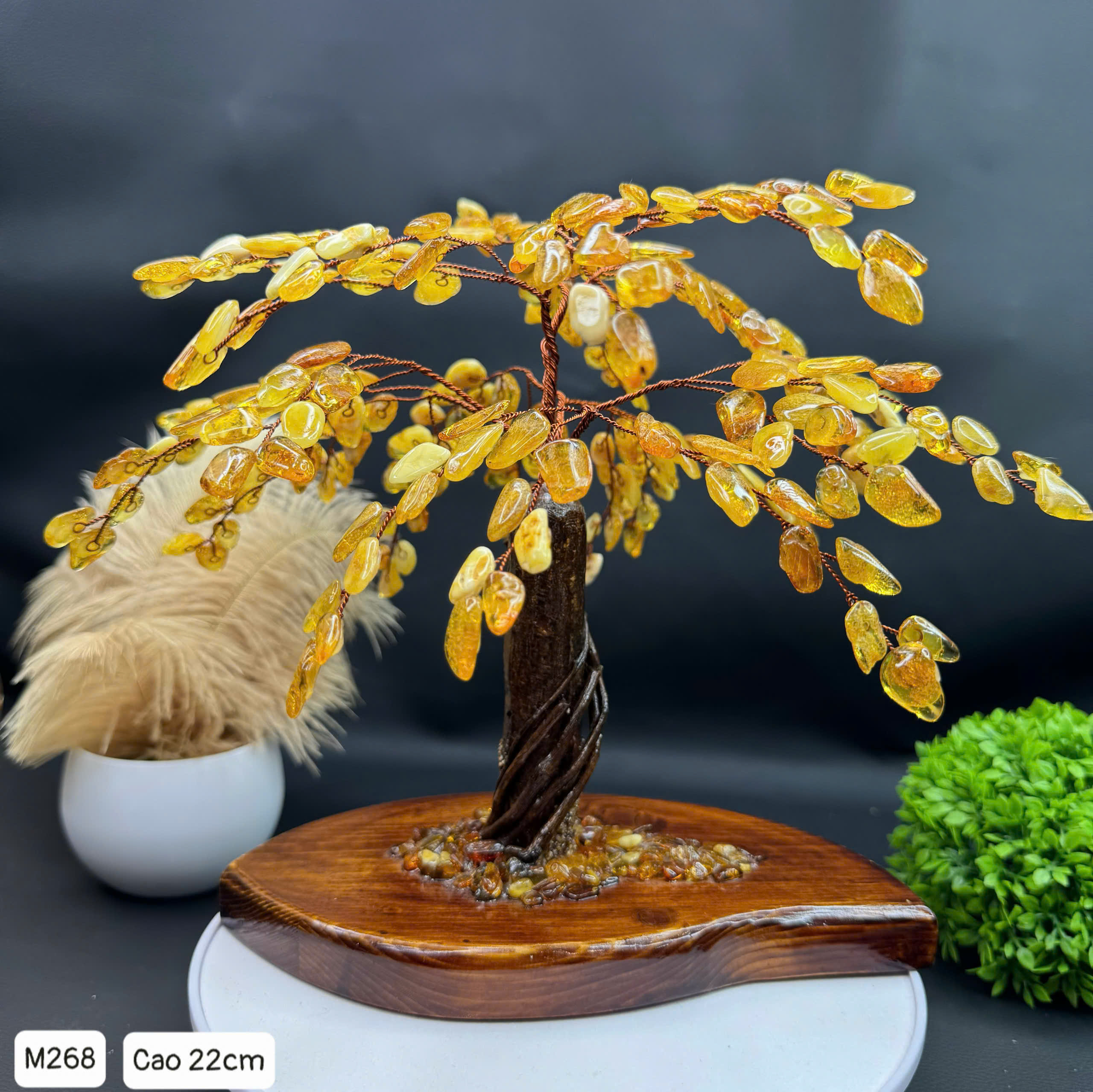 Cây Hổ Phách Tự Nhiên - M268