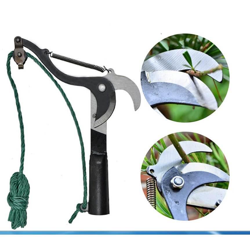 Đầu Kéo Cắt Cành Cây Trên Cao, Tỉa Cây Cảnh, Hái Hoa Quả_thumbnail_3
