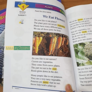 Reading For Vocabulary