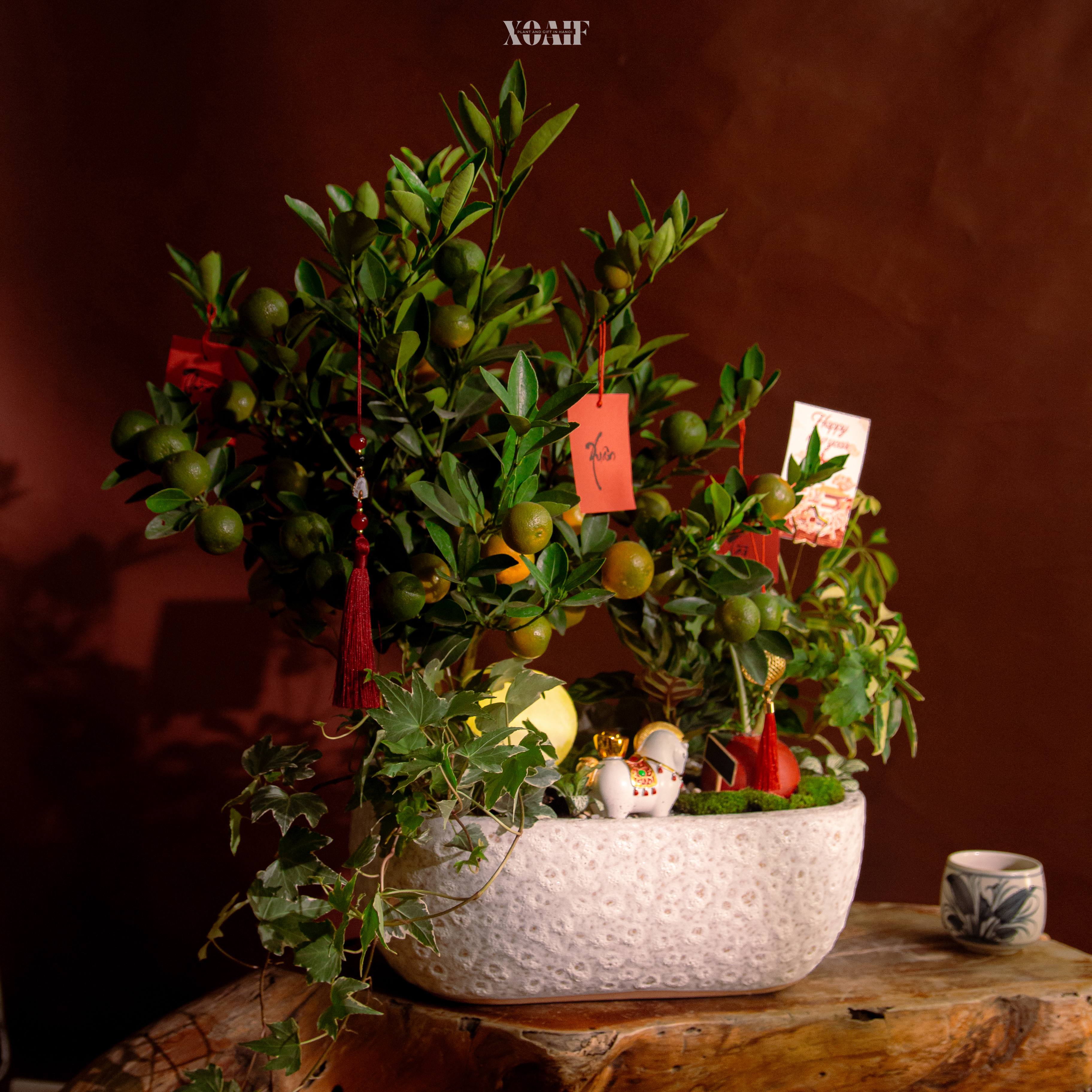 ĐĨNH XUÂN MÃN Ý