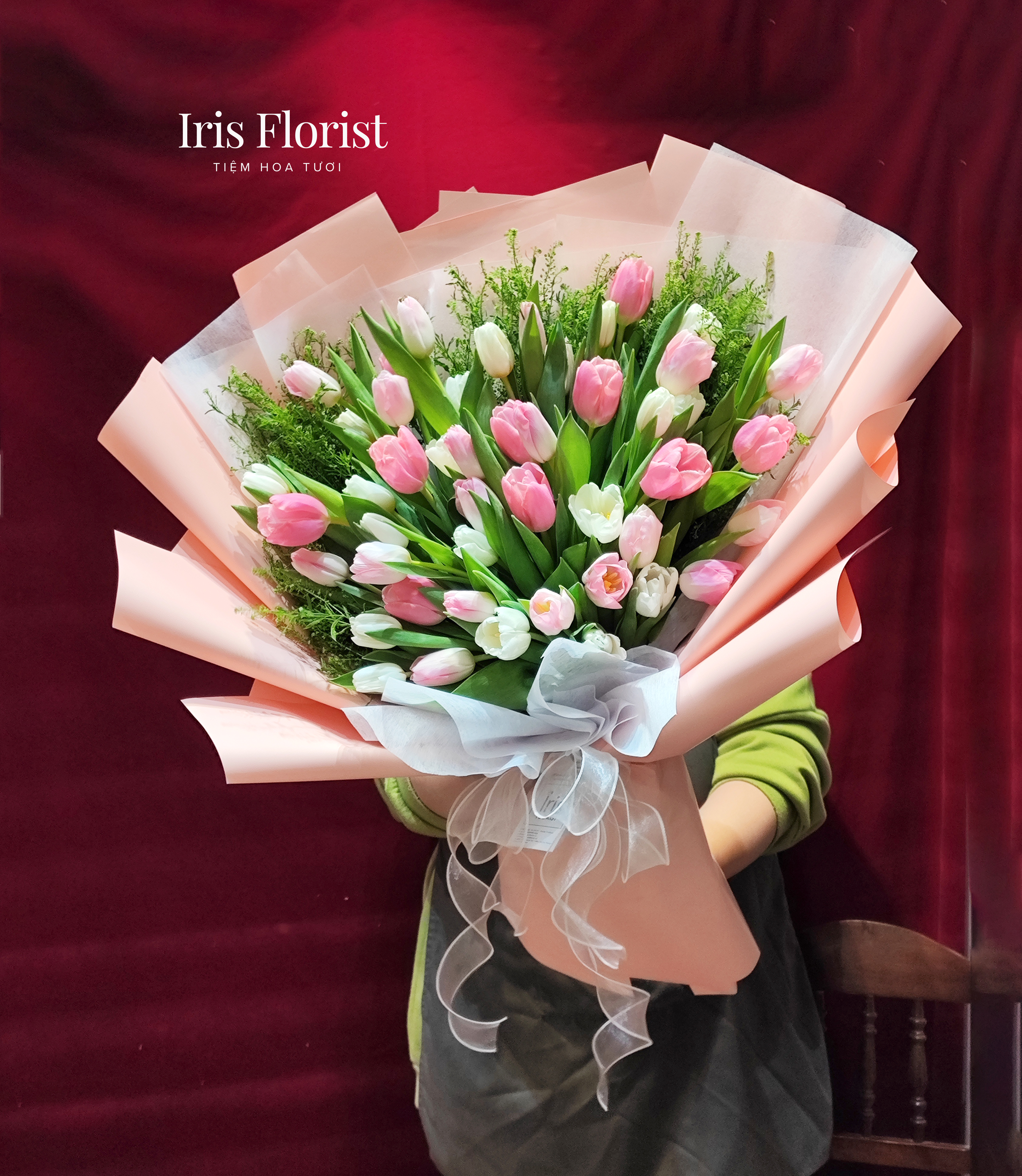 Bó hoa Tulip Hồng Trắng - Super Big Size