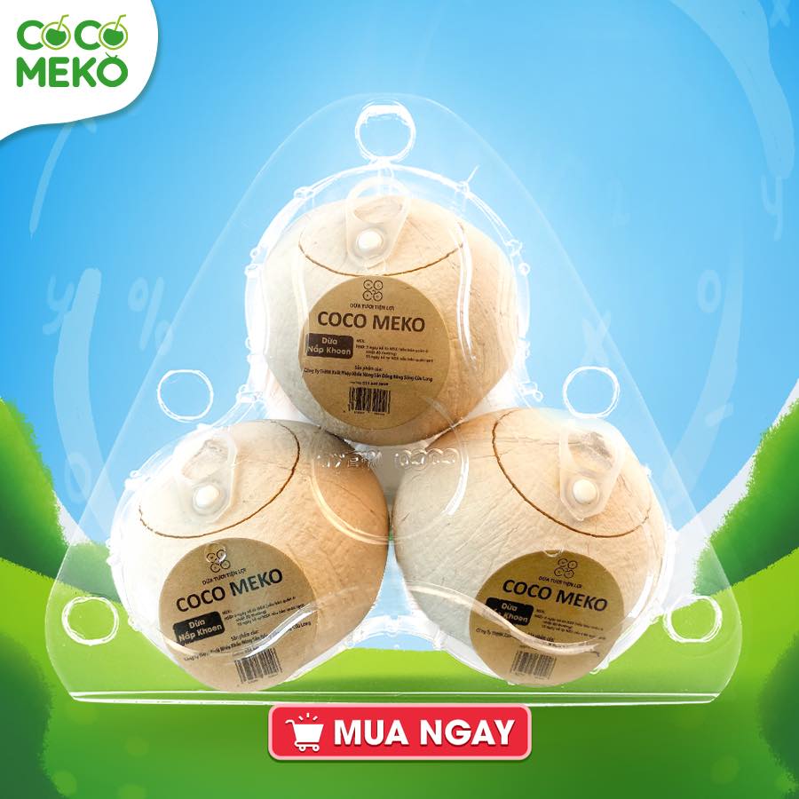 Plastic Box of 3 Eyelet Cap Coconuts_thumbnail_1