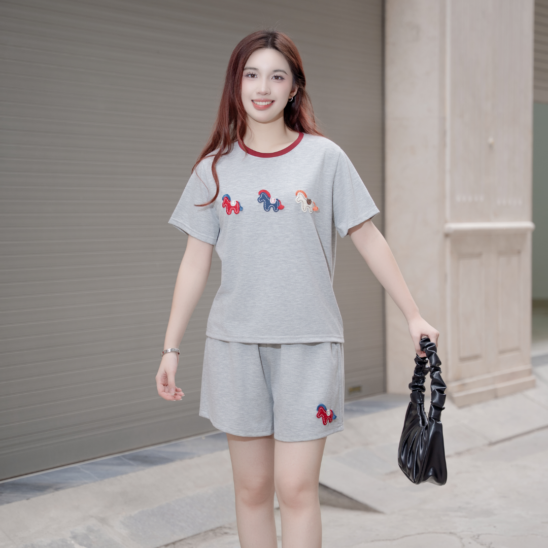 BN44 - Set Bộ Quần Áo Nữ Xuân Hè Áo Thun, Quần Cộc Short Sooc Đùi