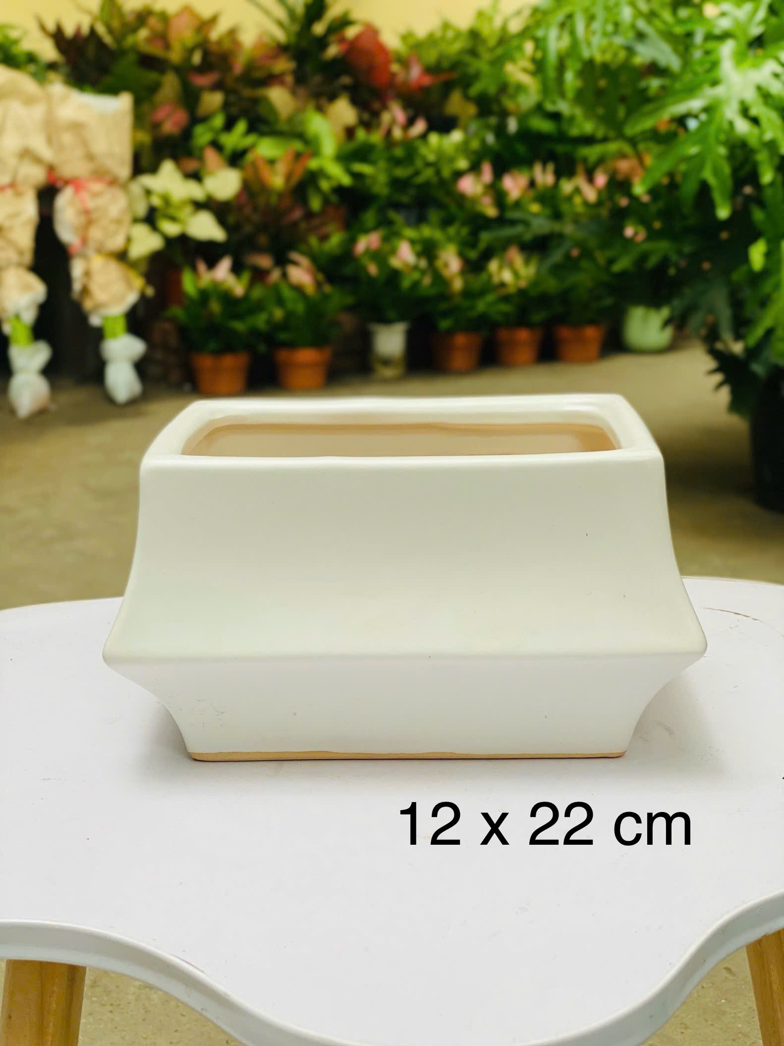 CHẬU CAO CẤP 2