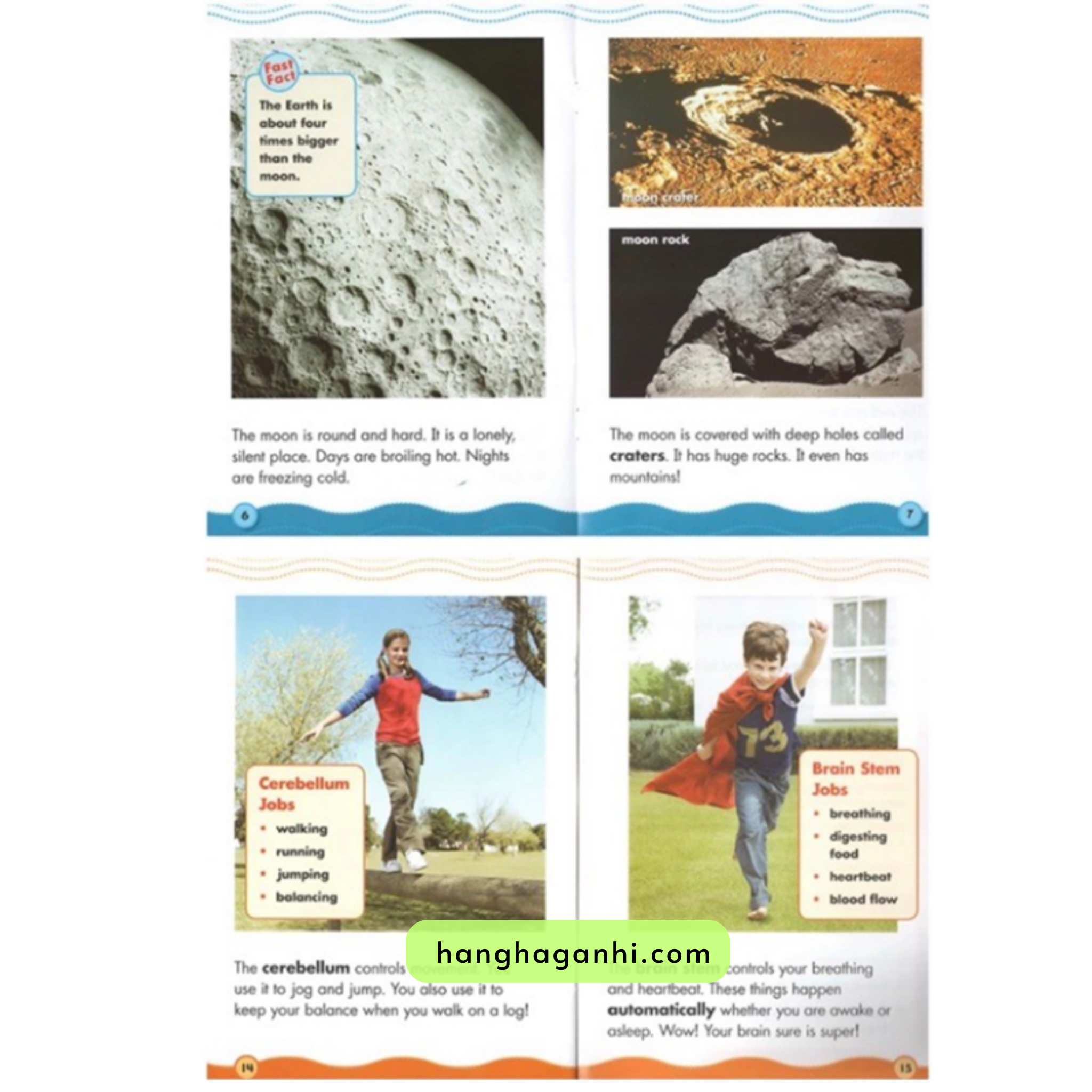 Science Vocabulary Readers - Bộ 34 cuốn sách Khoa học Tiếng Anh cho bé, nhập khẩu nguyên seal, có file nghe_thumbnail_6