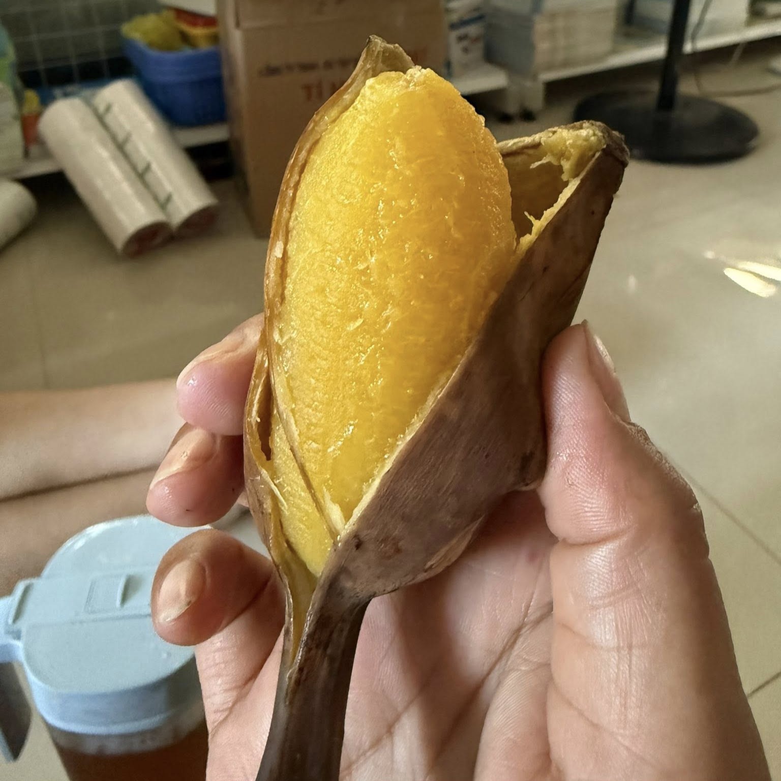 Chuối Sáp_thumbnail_3
