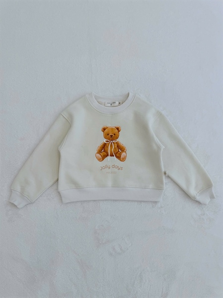 Winter Terry Sweater '24 (Áo Nỉ Sweater In/Thêu Hình)