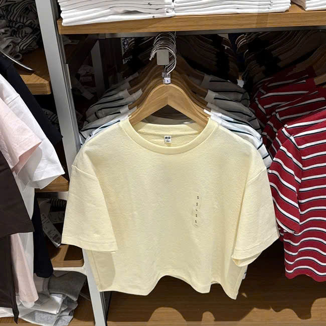 A709 ÁO THUN 4 MÀU_thumbnail_2