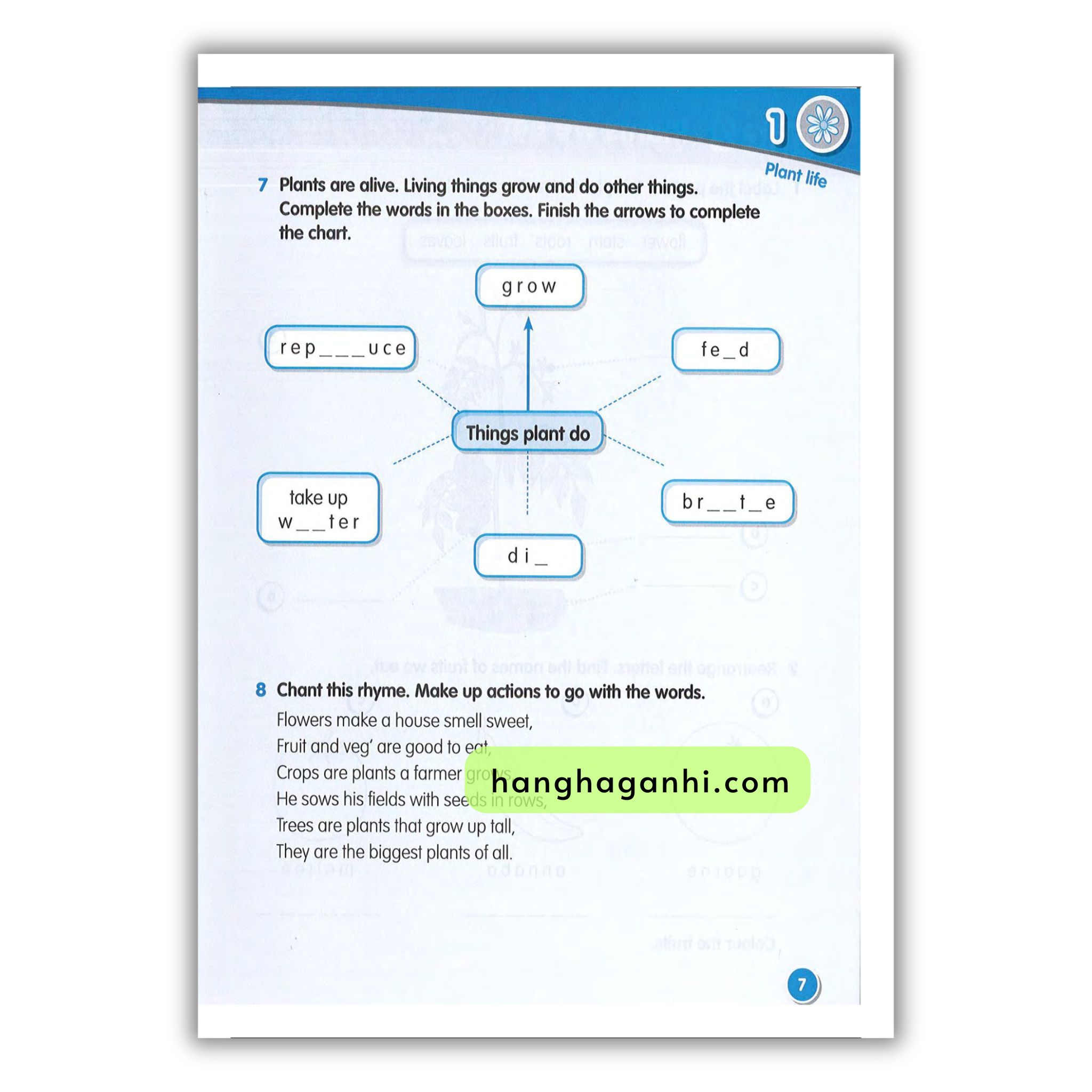 Macmillan Science 2 Workbook_thumbnail_11
