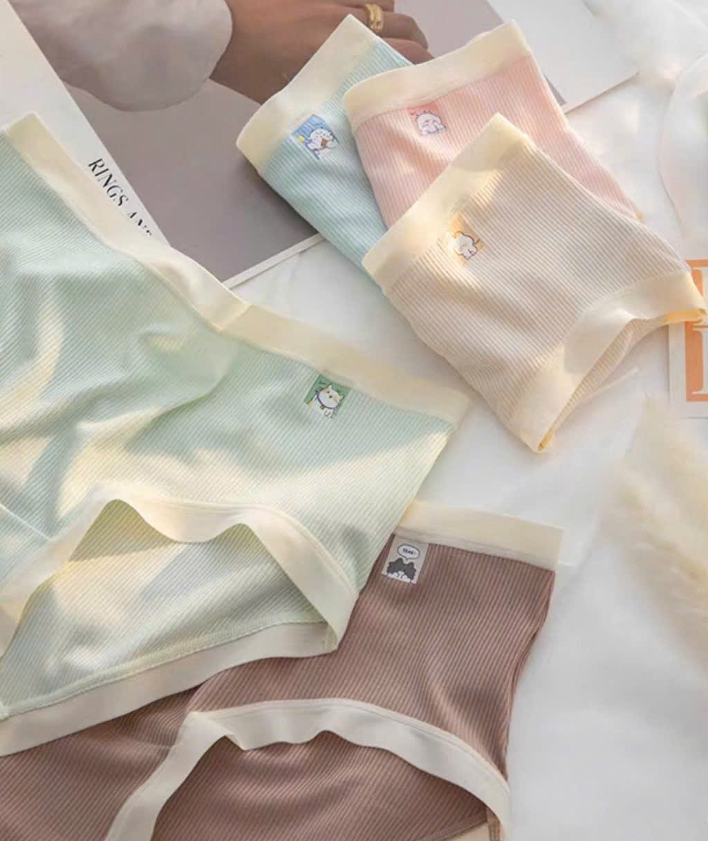 Set 10 quần lót ( NGẪU NHIÊN 5 MÀU )_thumbnail_12
