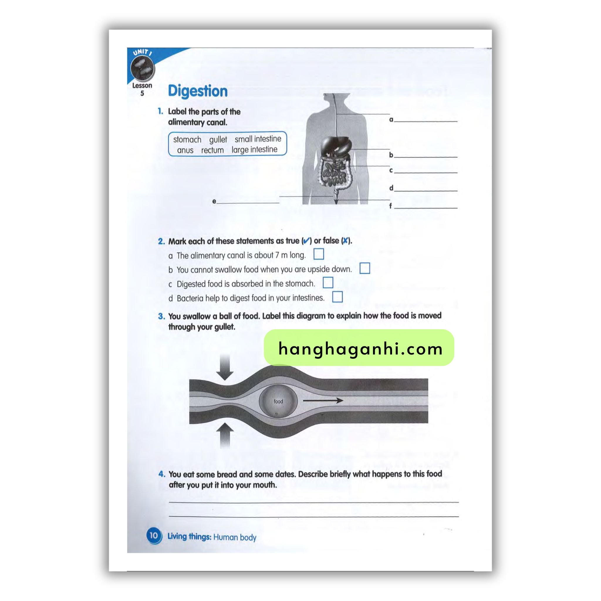 Macmillan Science 5 Workbook_thumbnail_11
