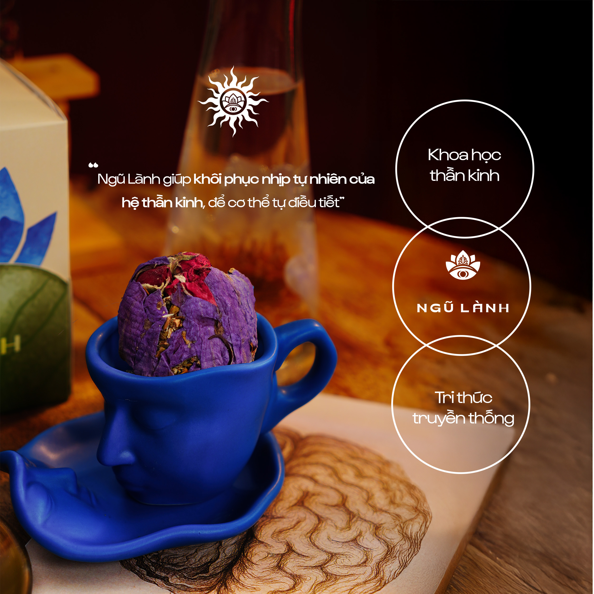 Trà Ngũ Lành - Giảm Căng Thẳng & Điều Hòa Thần Kinh & Ngủ Sâu Tự Nhiên | Natural’s Heal_thumbnail_5