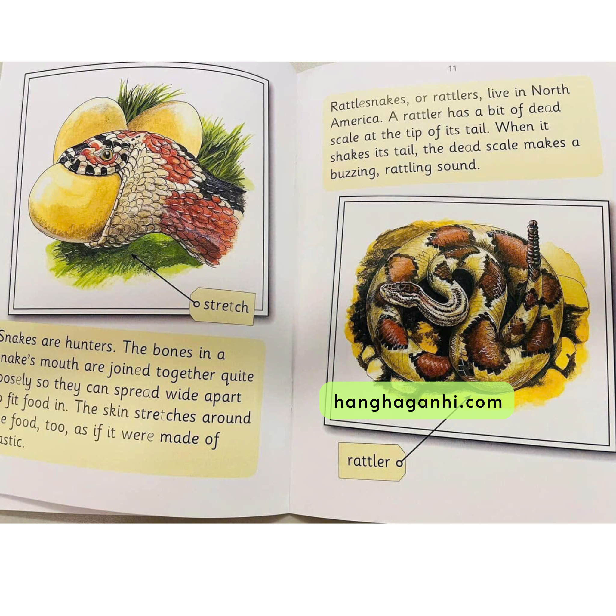 JOLLY PHONICS - BỘ 72 QUYỂN NHẬP KHẨU_thumbnail_5