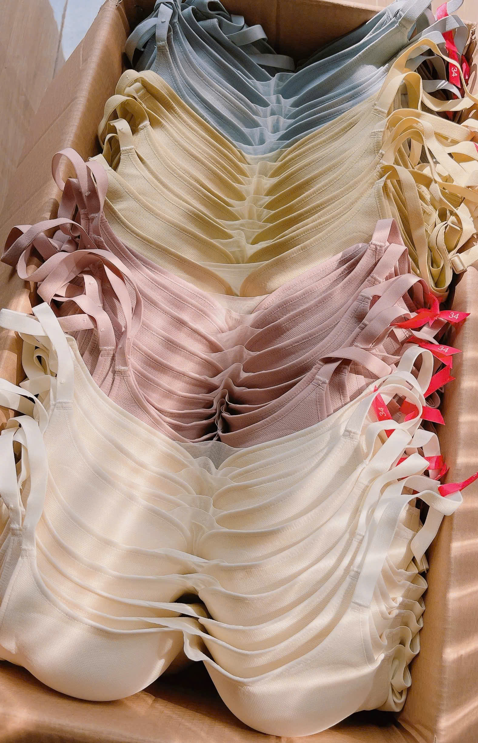 A426 Áo ngực ko gọng_thumbnail_7